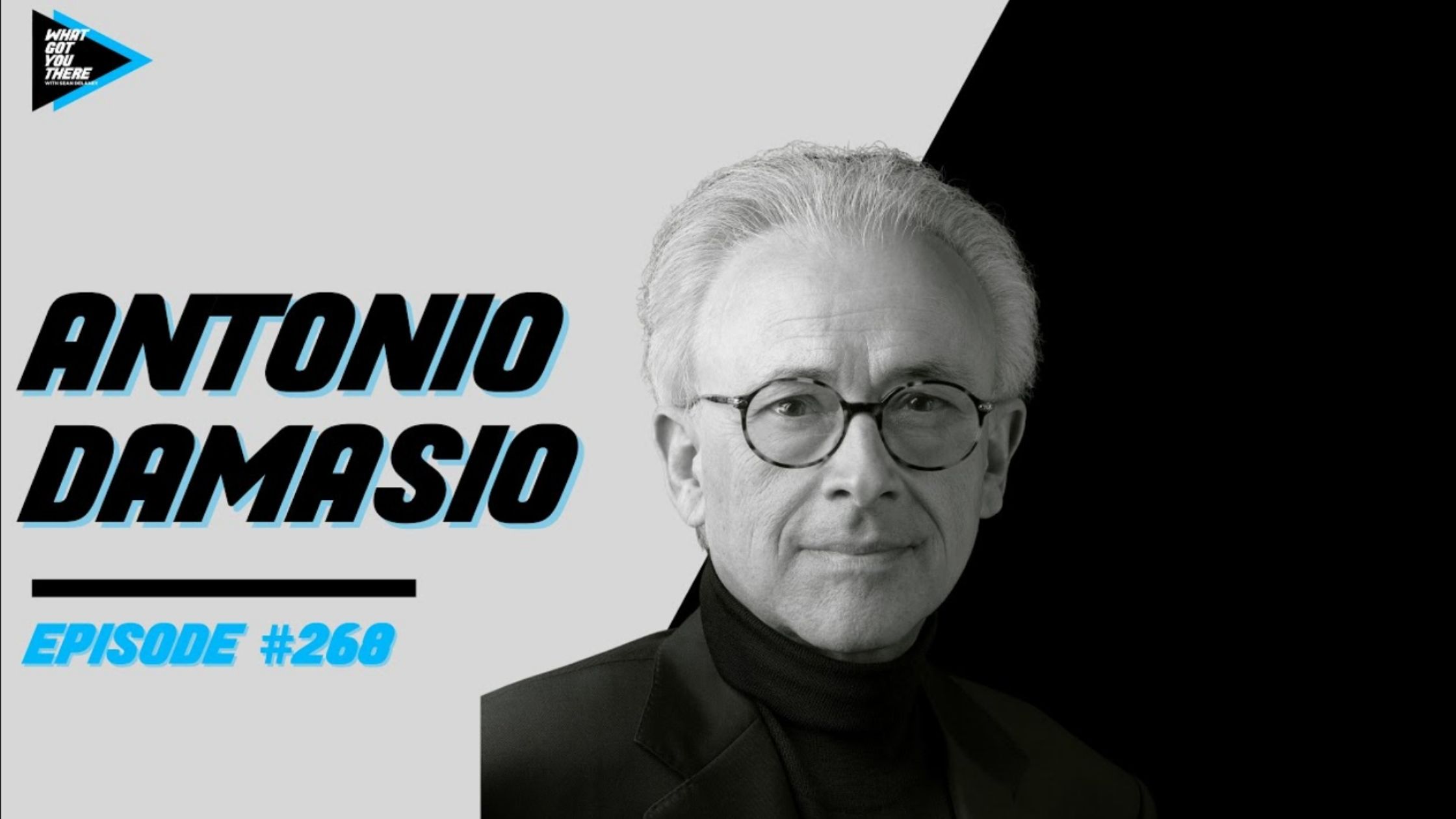 Antonio Damasio